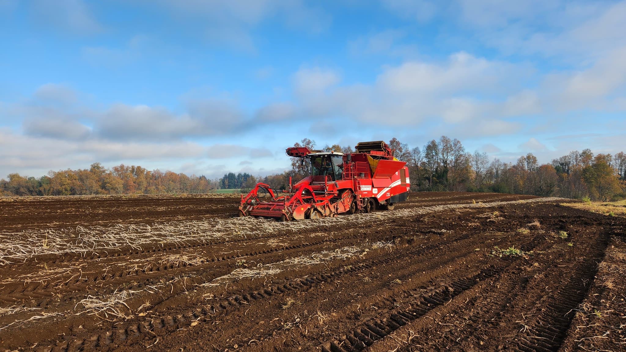 GRIMME TECTRON 415 - overview - Ref. c8f5