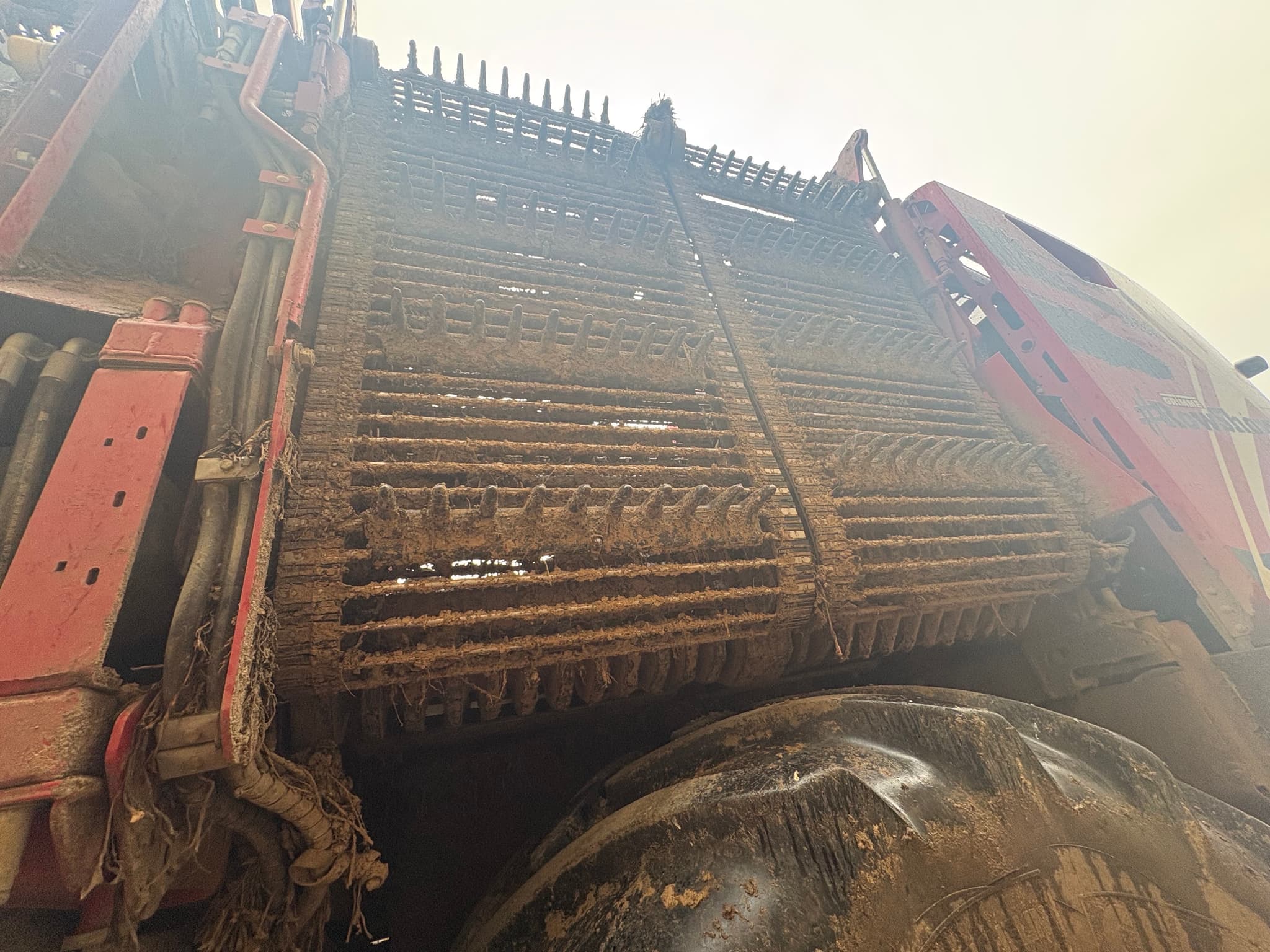 GRIMME REXOR 6200 PLATINUM Disques - detail - Ref. 8bd1