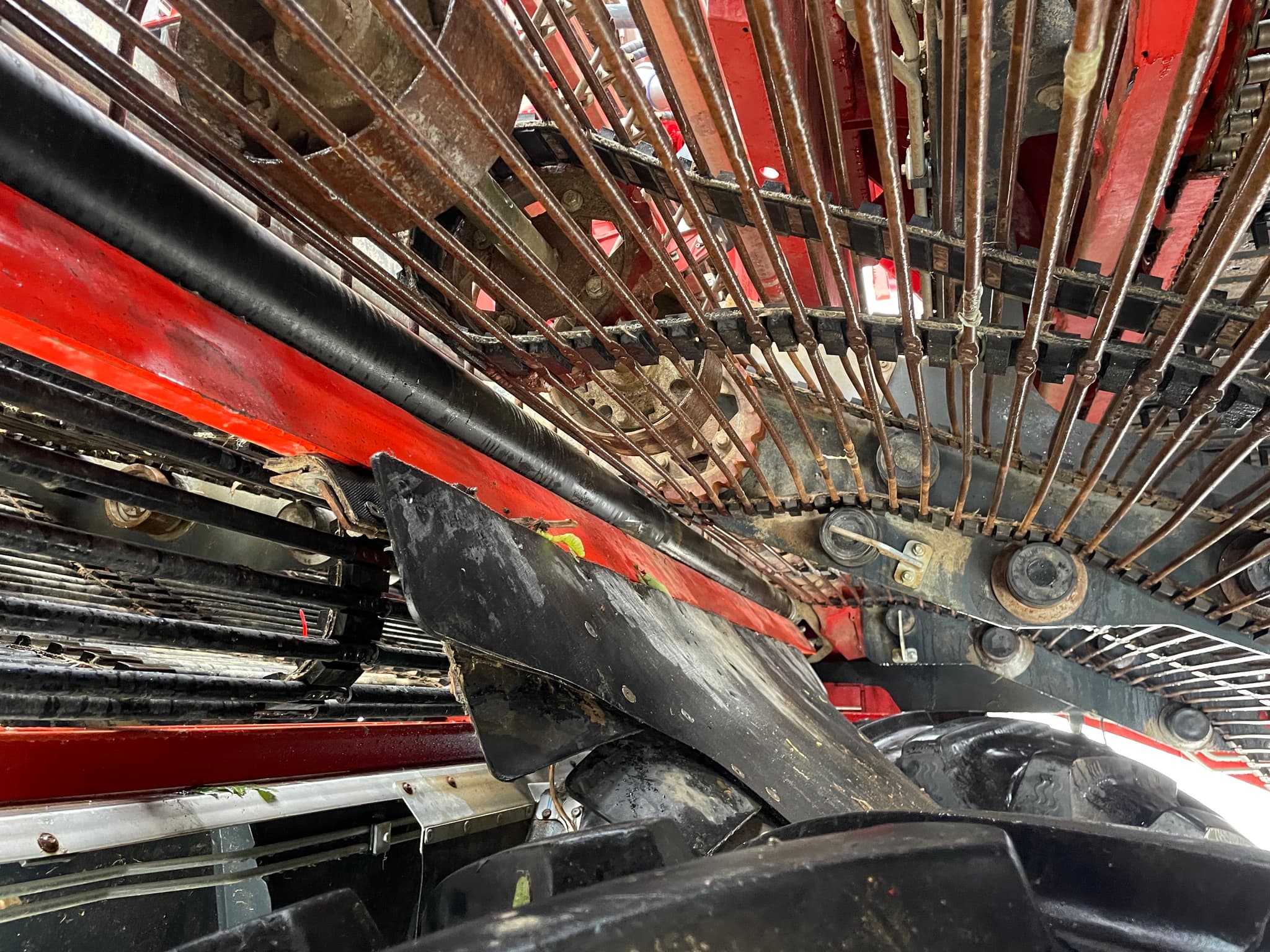 Dewulf / Miedema ENDURO - detail - Ref. ce19