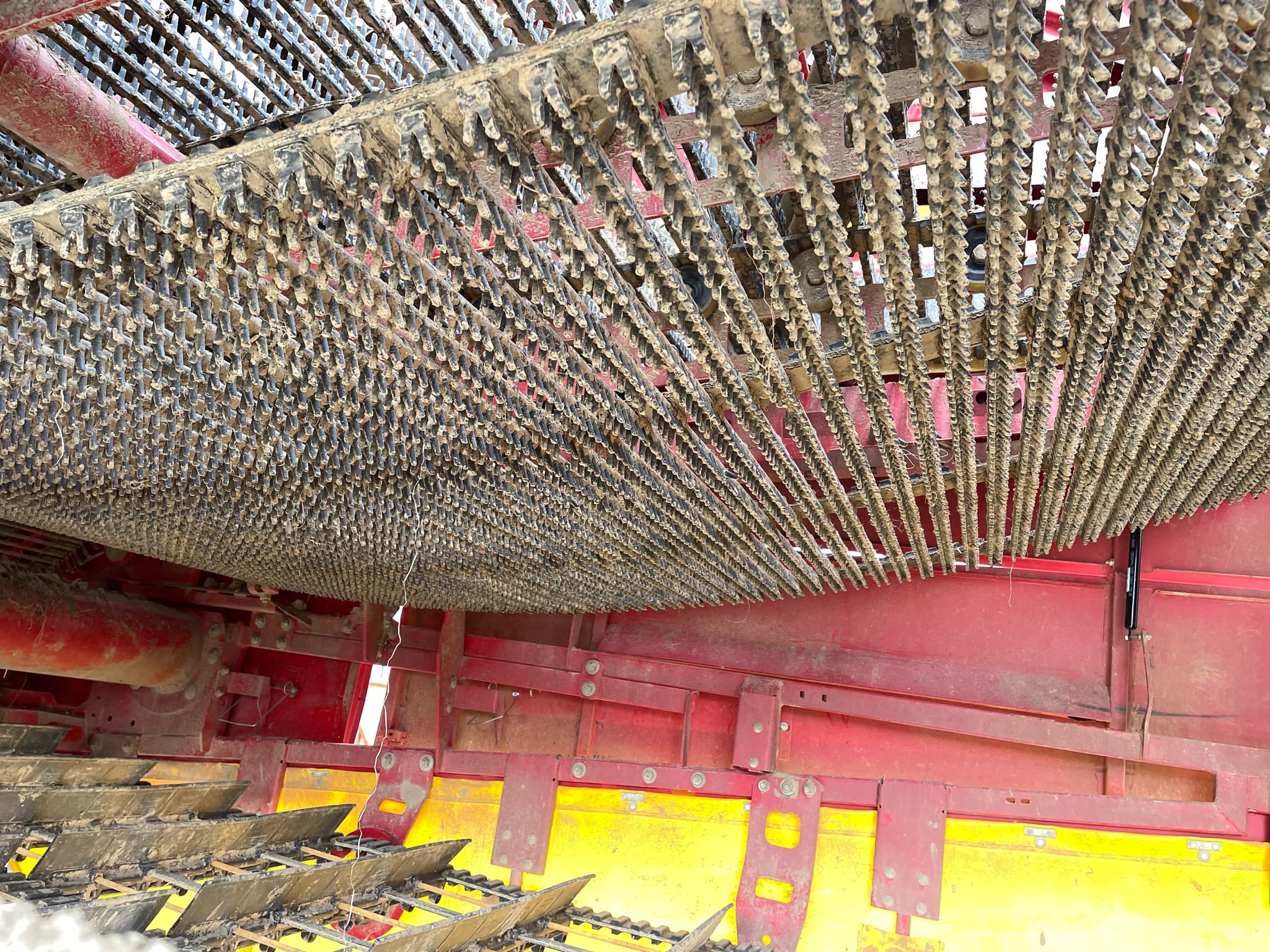 GRIMME EVO 290 - detail - Ref. 1612