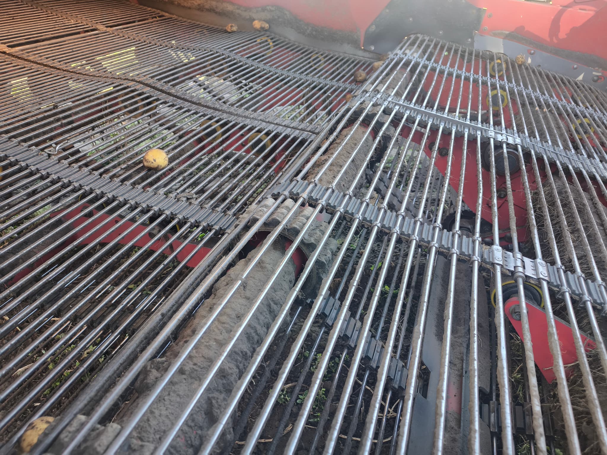 GRIMME VARITRON 470 - detail - Ref. 1cec