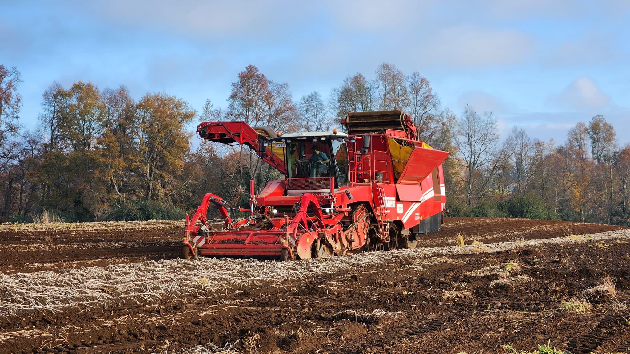 GRIMME TECTRON 415 - front - Ref. c8f5