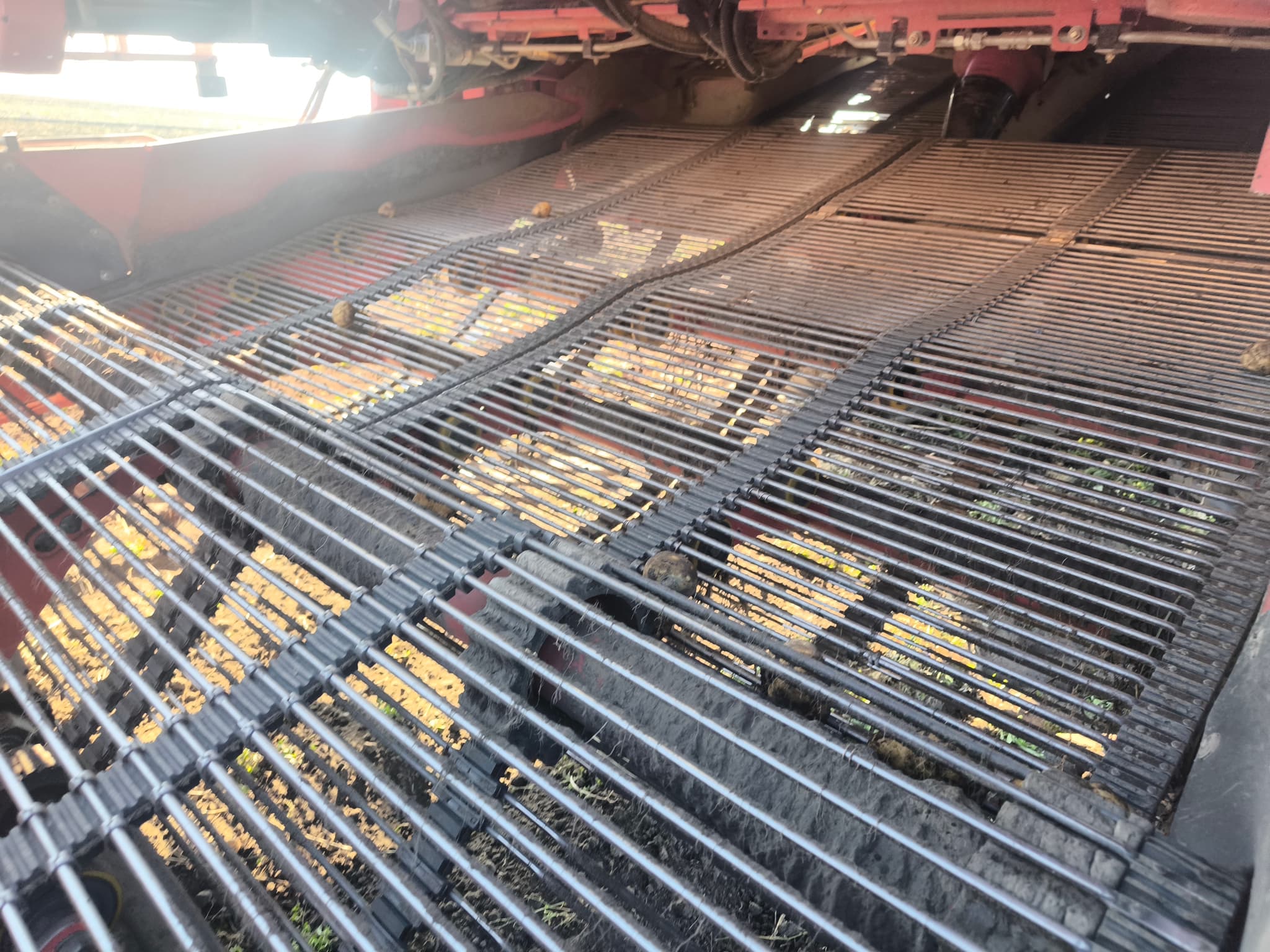 GRIMME VARITRON 470 - detail - Ref. 1cec