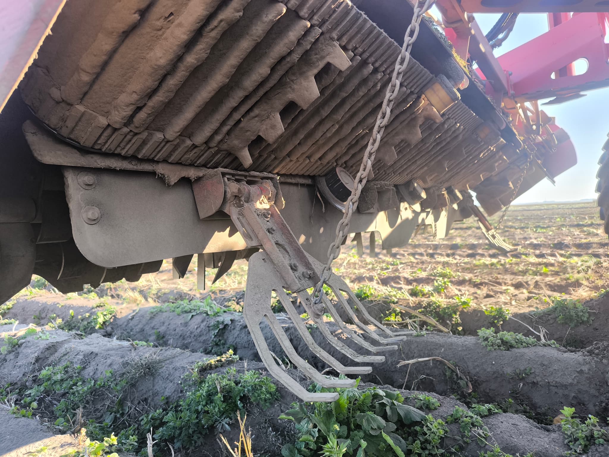 GRIMME VARITRON 470 - detail - Ref. 1cec