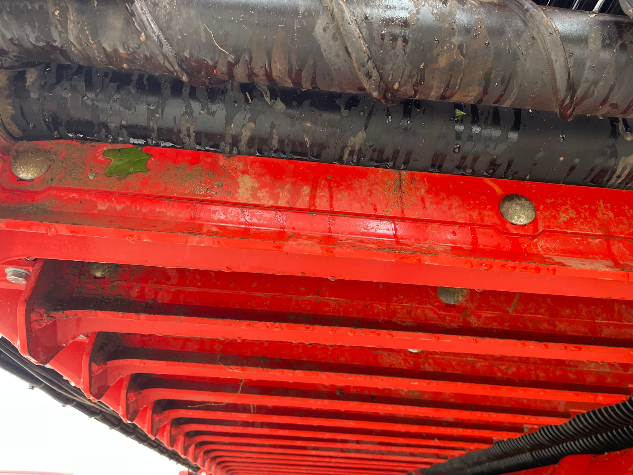 Dewulf / Miedema ENDURO - detail - Ref. ce19