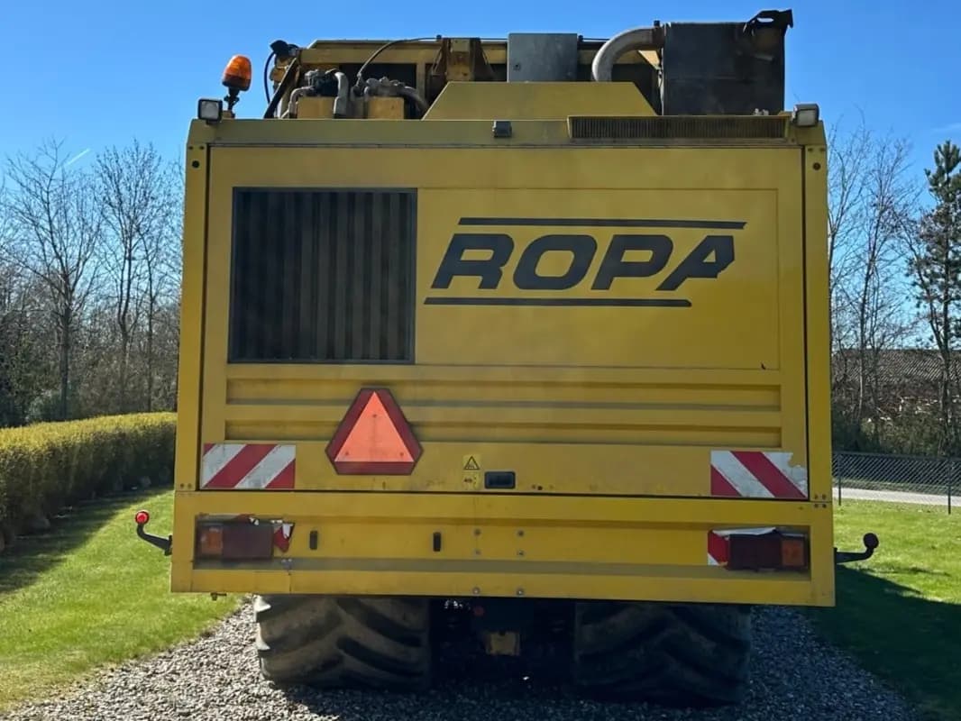Ropa Euro Tiger - right - Ref. 19ef