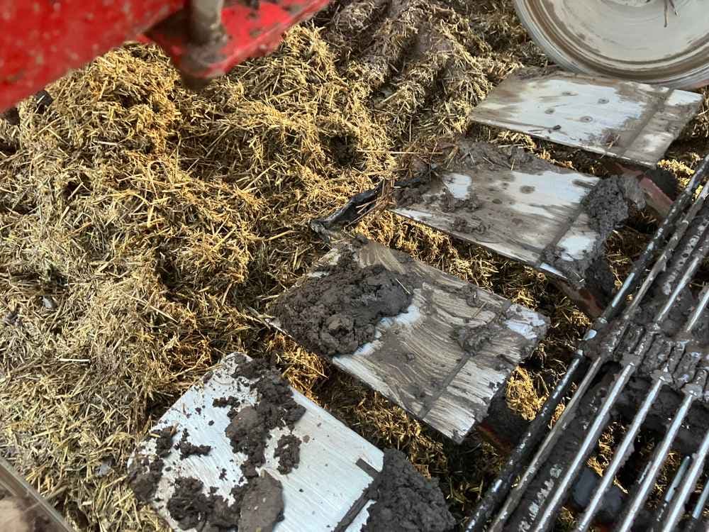 GRIMME Grimme Varitron 270 Platinum TT, Self-Propelled, Carrot Harvester - detail - Ref. 2e40