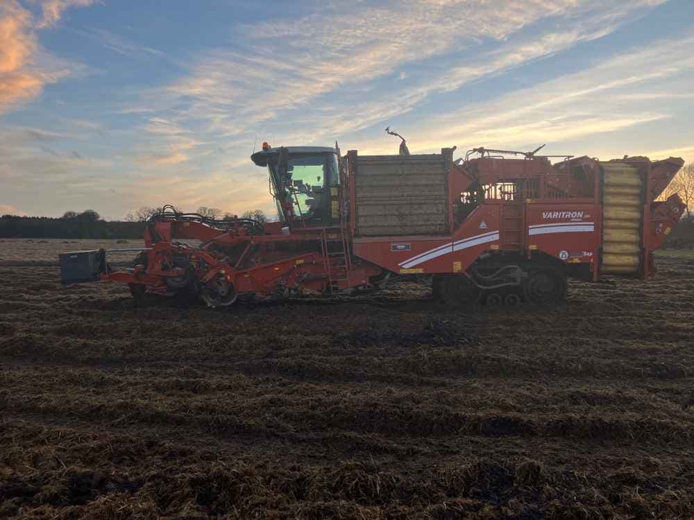 GRIMME Grimme Varitron 270 Platinum TT, Self-Propelled, Carrot Harvester - detail - Ref. 2e40