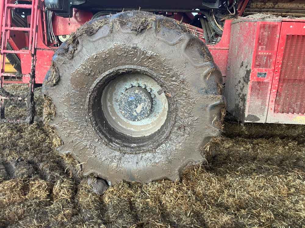 GRIMME Grimme Varitron 270 Platinum TT, Self-Propelled, Carrot Harvester - detail - Ref. 2e40