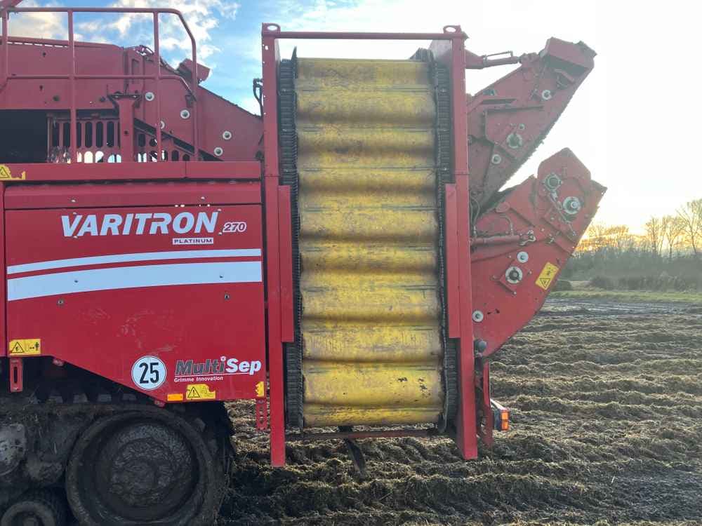GRIMME Grimme Varitron 270 Platinum TT, Self-Propelled, Carrot Harvester - detail - Ref. 2e40