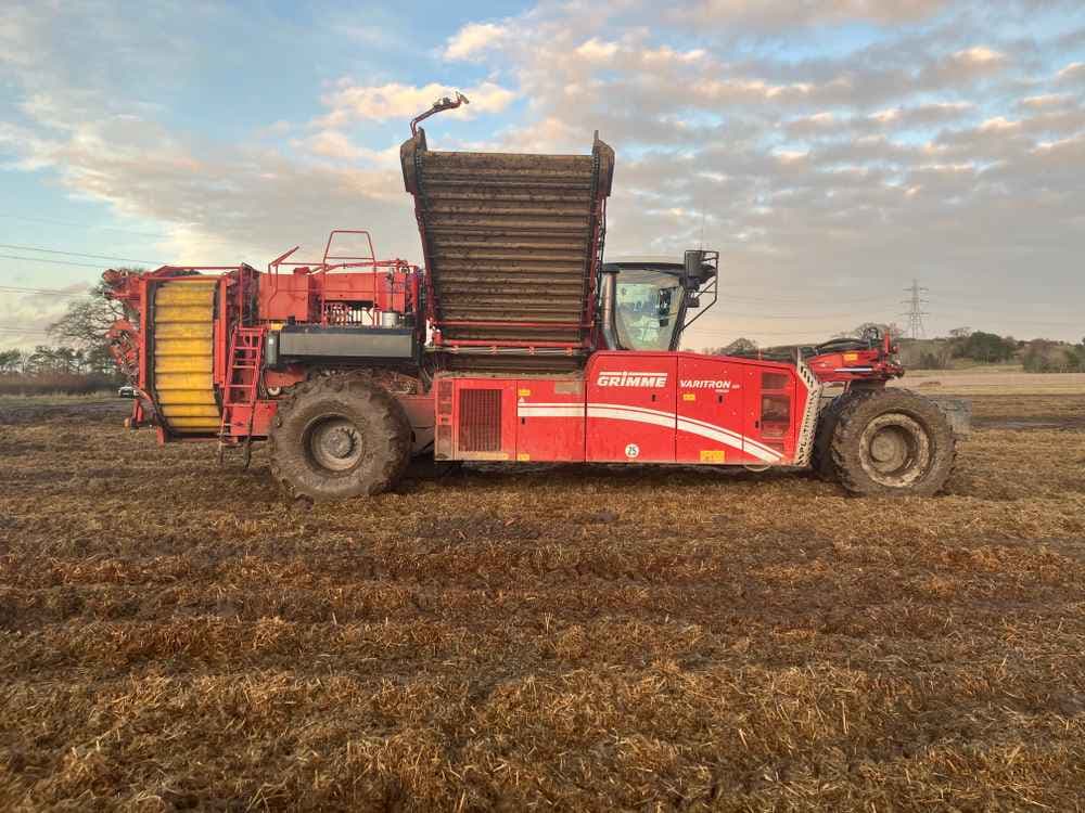 GRIMME Grimme Varitron 270 Platinum TT, Self-Propelled, Carrot Harvester - back - Ref. 2e40