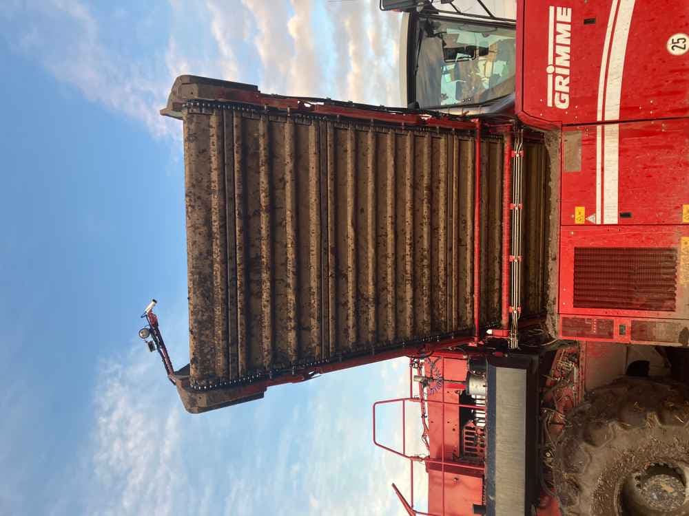 GRIMME Grimme Varitron 270 Platinum TT, Self-Propelled, Carrot Harvester - detail - Ref. 2e40