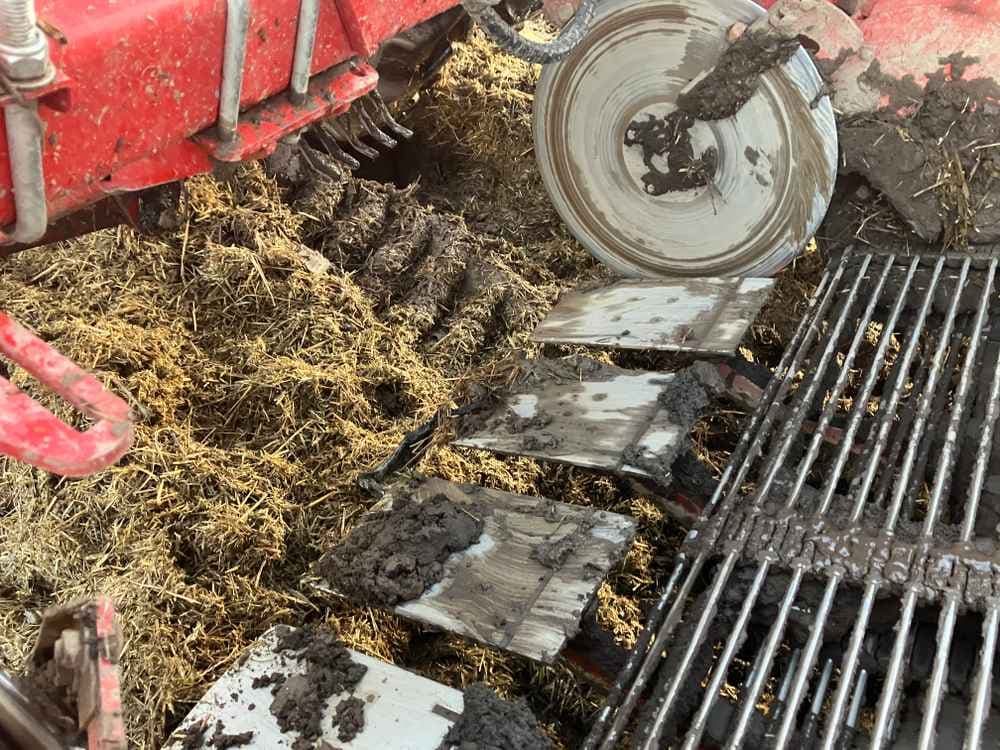 GRIMME Grimme Varitron 270 Platinum TT, Self-Propelled, Carrot Harvester - detail - Ref. 2e40
