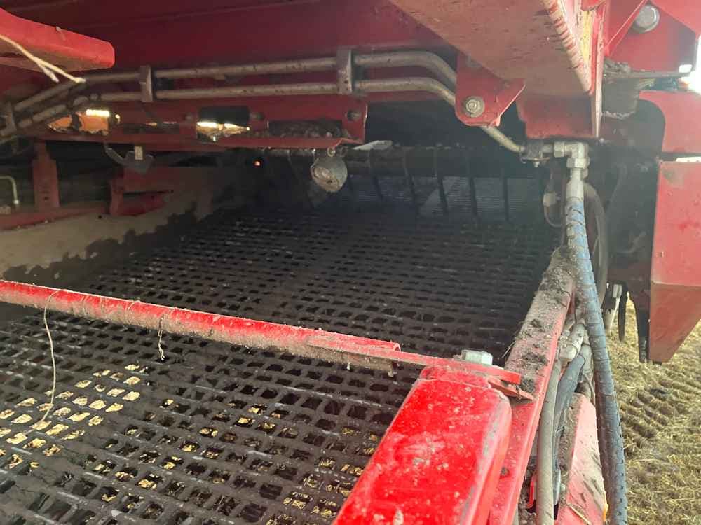 GRIMME Grimme Varitron 270 Platinum TT, Self-Propelled, Carrot Harvester - detail - Ref. 2e40