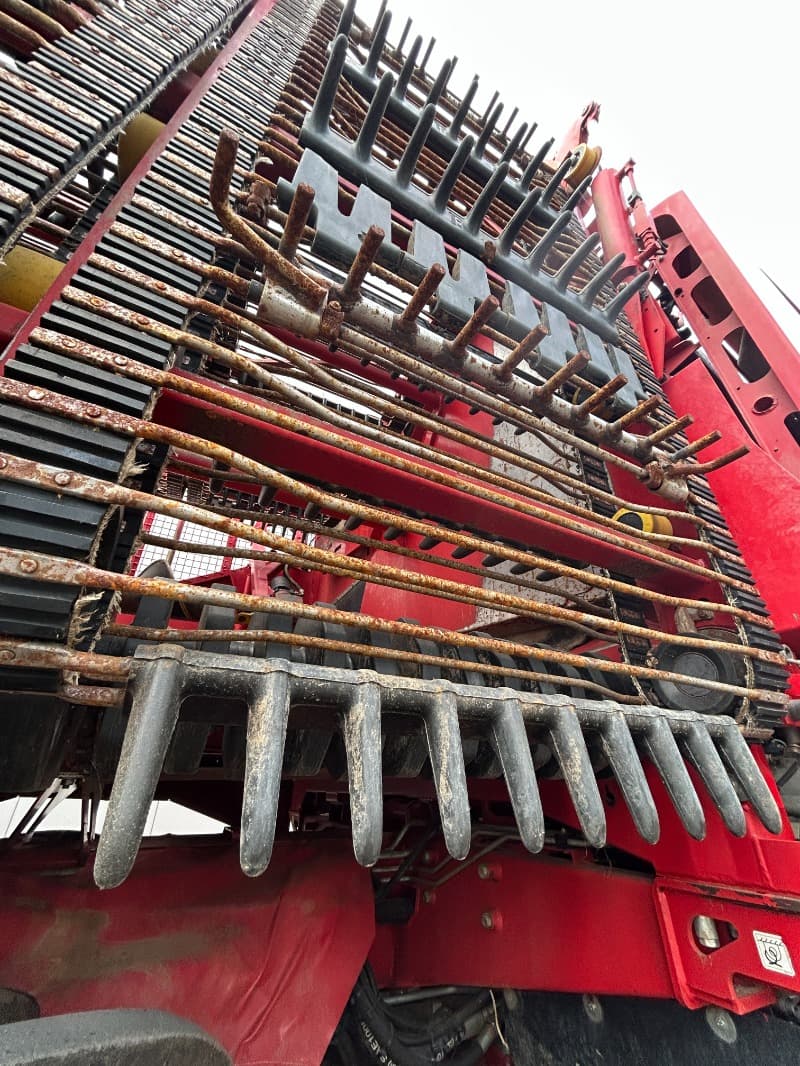 GRIMME REXOR 6300 Platinum - detail - Ref. 2b42